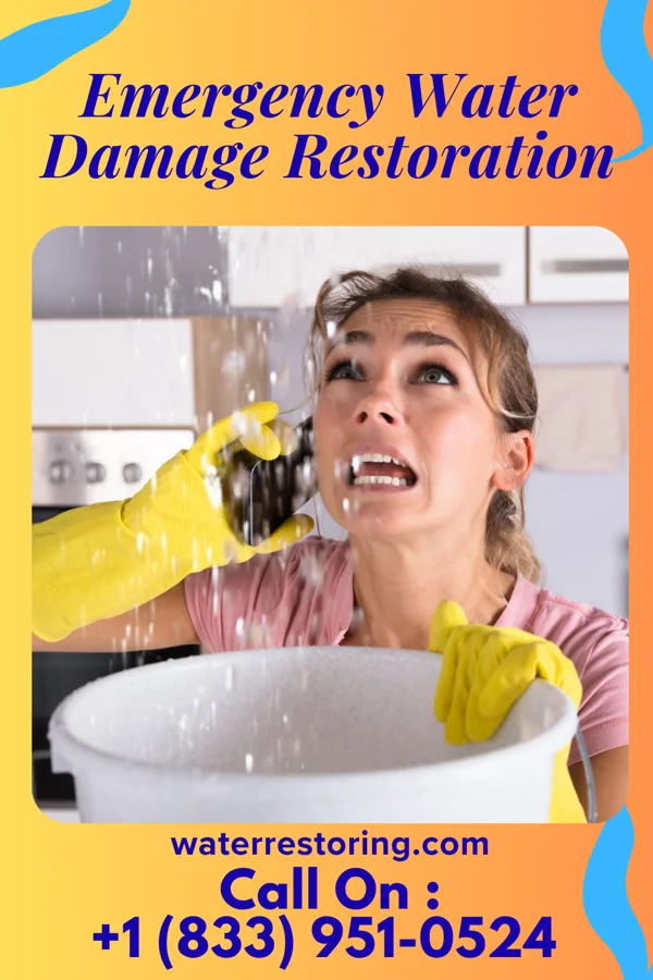 Emergency Water Damage Restoration in Melbourne Beach, FL
